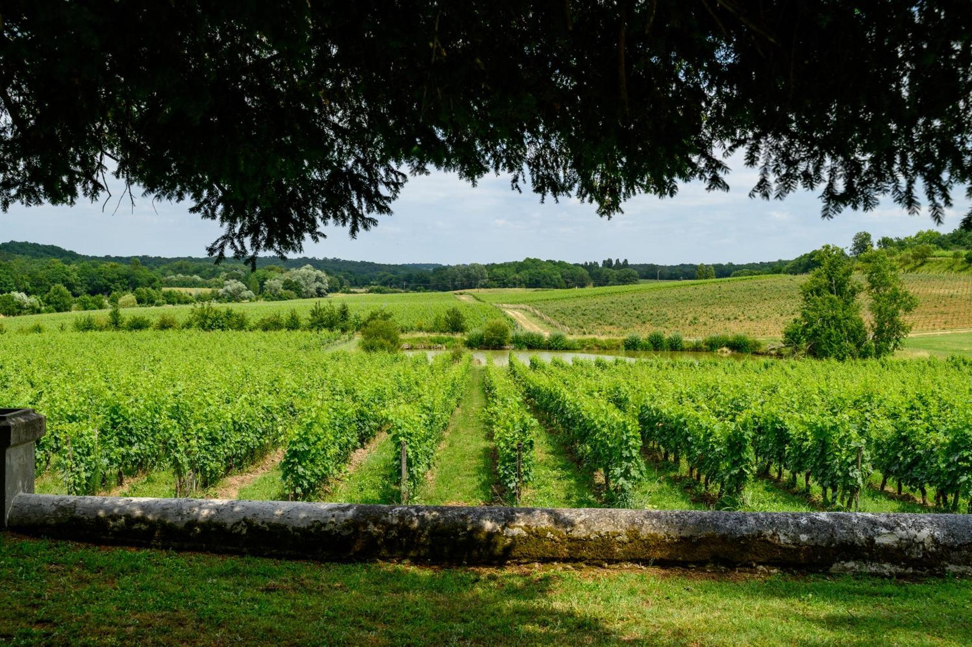 Pey La Tour - Logis Hotels & Restaurant Salleboeuf Dış mekan fotoğraf