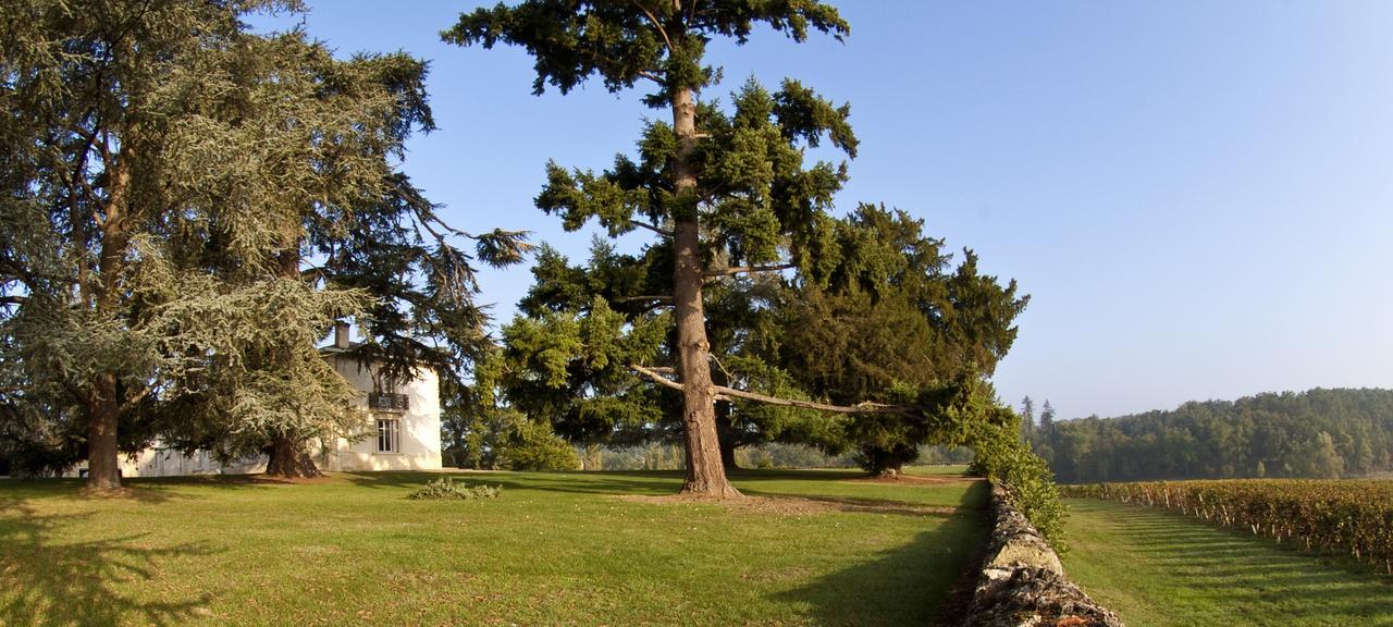 Pey La Tour - Logis Hotels & Restaurant Salleboeuf Dış mekan fotoğraf